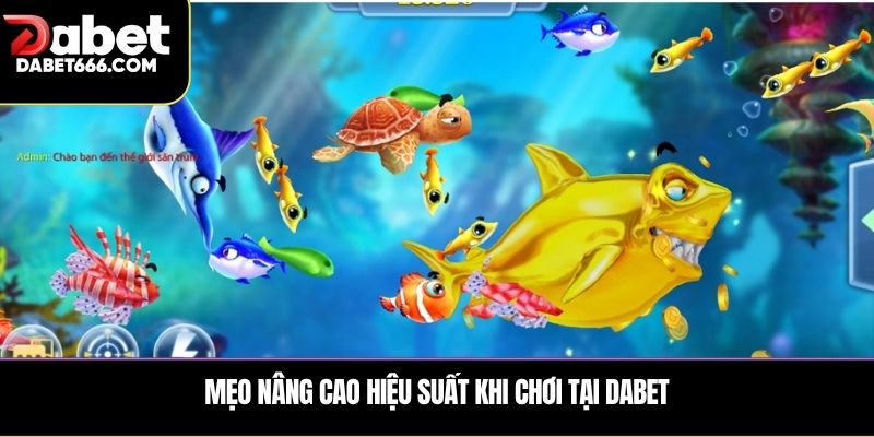 Mẹo nâng cao hiệu suất khi chơi tại Dabet