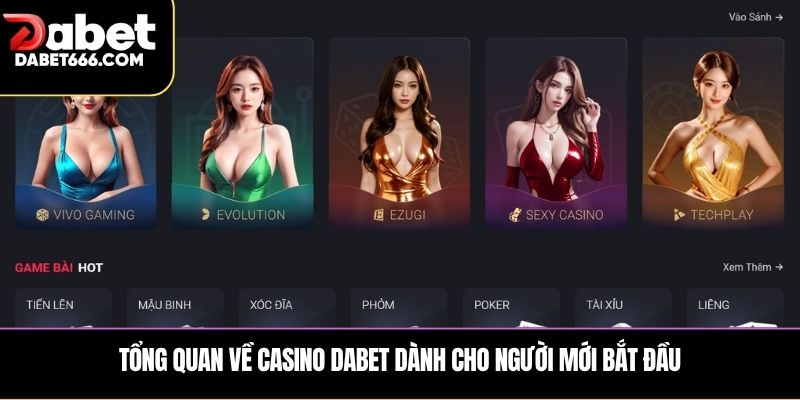Tổng quan về Casino Dabet dành cho người mới bắt đầu
