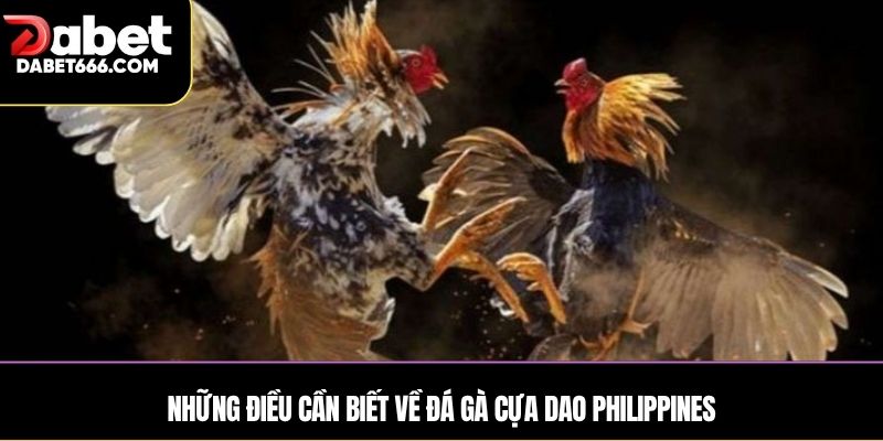 Những điều cần biết về Đá gà cựa dao Philippines