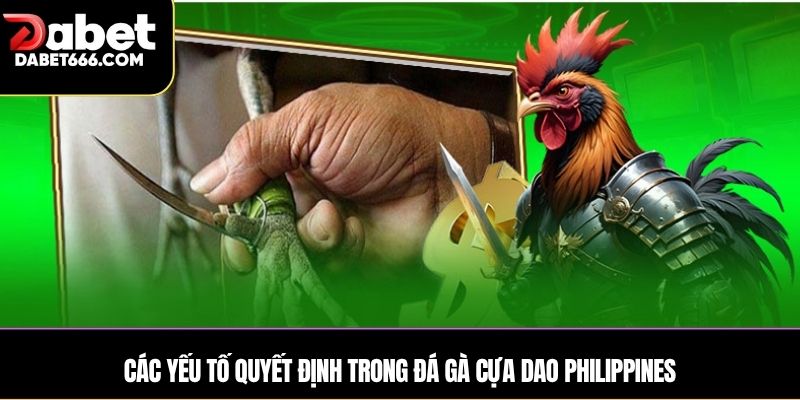 Bí quyết chơi Đá gà cựa dao Philippines hiệu quả