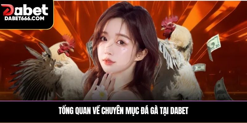 Tổng quan về chuyên mục đá gà tại DABET