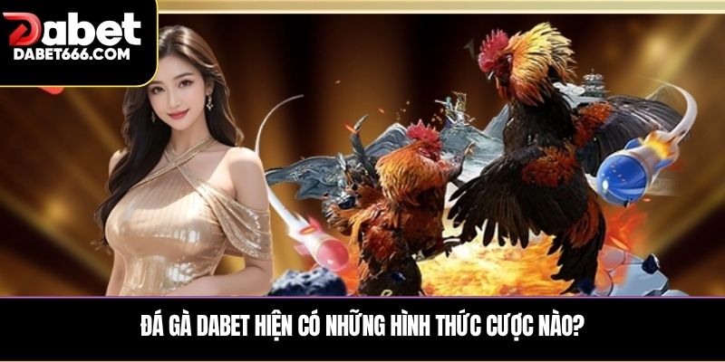 Các hình thức đá gà phổ biến tại sảnh DABET