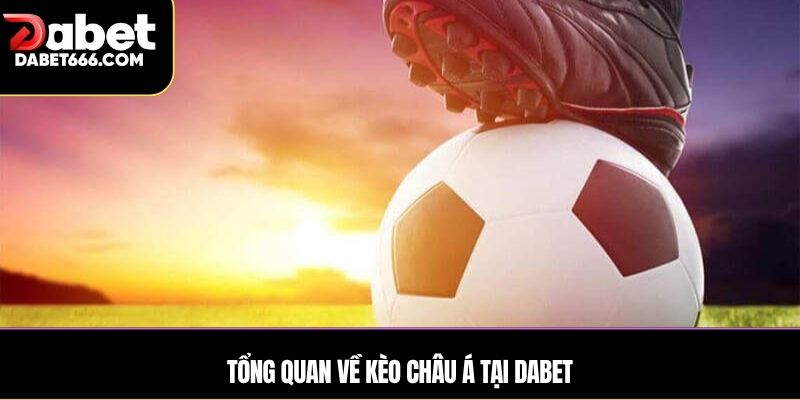 Tổng quan về kèo châu Á tại DABET