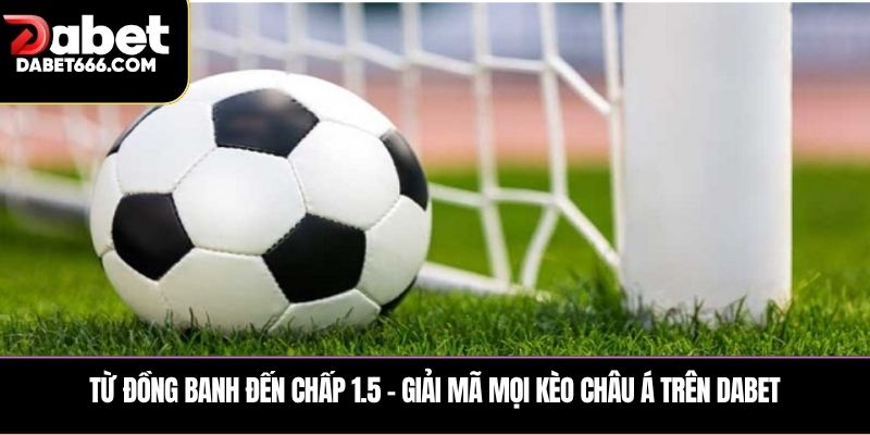 Từ đồng banh đến chấp 1.5 – Giải mã mọi kèo châu Á trên DABET