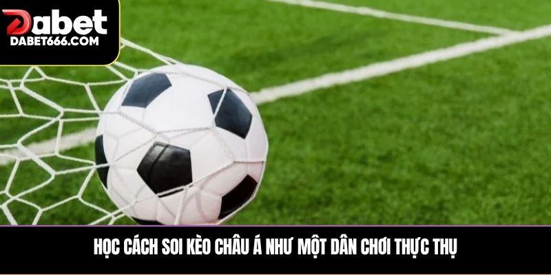 Học cách soi kèo châu Á như một dân chơi thực thụ