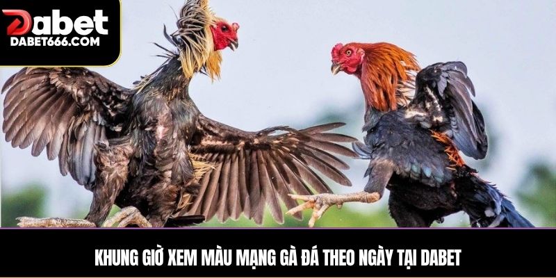 Khung giờ xem màu mạng gà đá theo ngày tại DABET